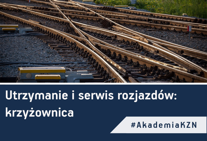 Utrzymanie i serwis rozjazdu: krzyżownica