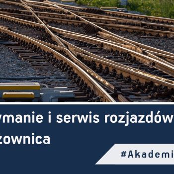 Utrzymanie i serwis rozjazdu: krzyżownica