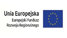 Innowacyjna technologia produkcji, logistyki, zabudowy i utrzymania prefabrykowanych rozjazdów tramwajowych w blokach