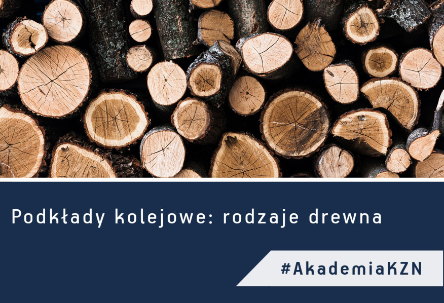 Podkłady kolejowe: rodzaje drewna