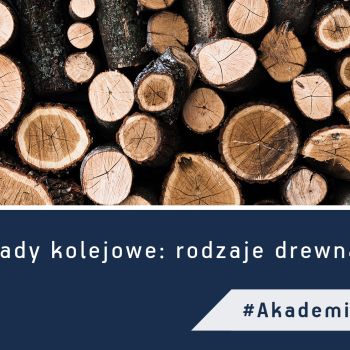 Podkłady kolejowe: rodzaje drewna